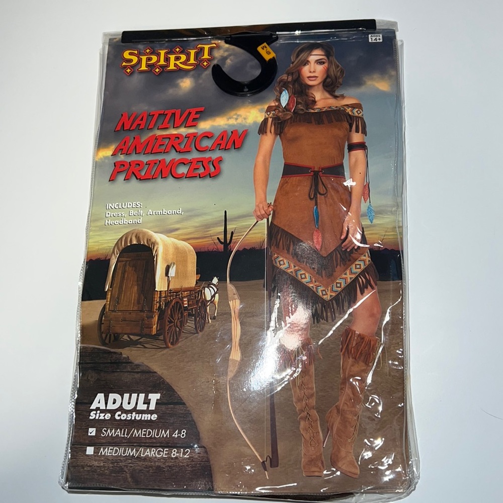 Native American princess costume
